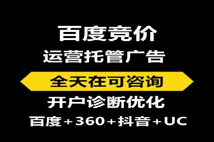SEM代理操作技巧：成功案例揭秘